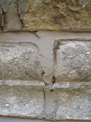 christchurch -1256.jpg